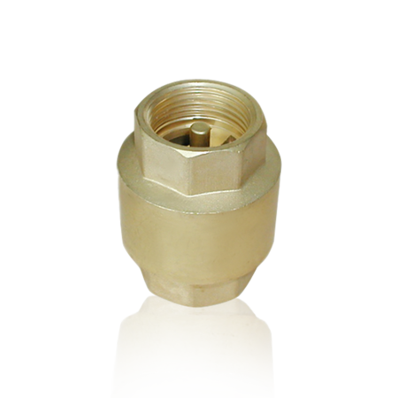 Why You Need Brass Check Valves